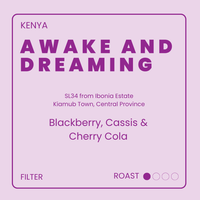 Awake And Dreaming
